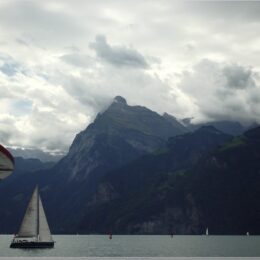 Segler auf dem Vierwaldstättersee