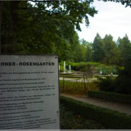 Berner Rosengarten
