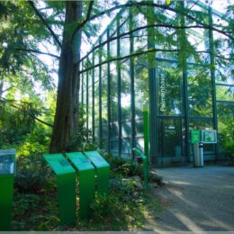 Palmenhaus