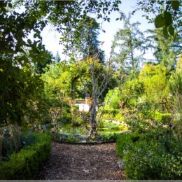 Bauerngarten