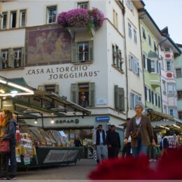 Torgglhaus, Bozen