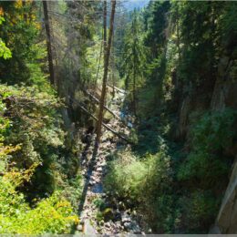 Blick von der Finsterbachbrücke
