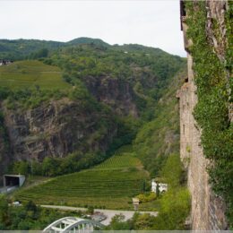 Weinberge